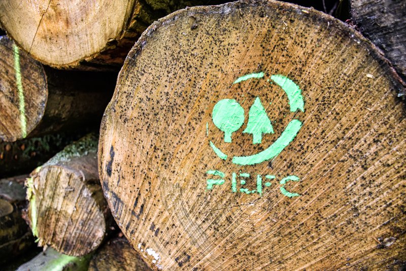 A close-up of a wooden log with the PEFC (Programme for the Endorsement of Forest Certification) logo painted in green, symbolizing sustainable forestry certification.